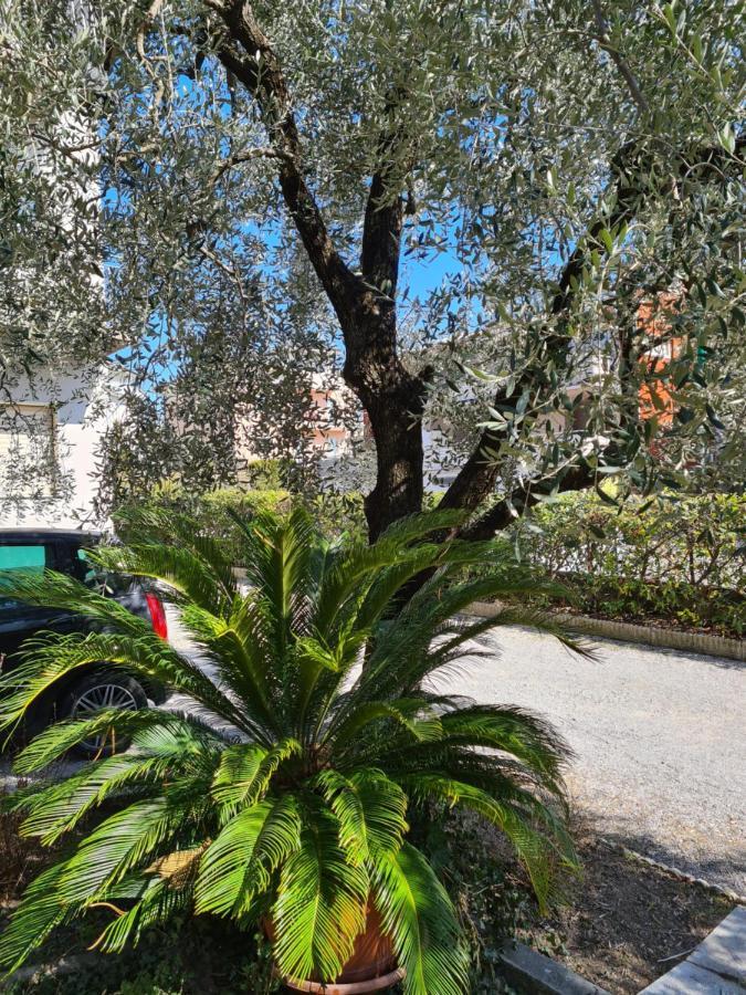 Le Peonie Apartment Riva del Garda Exterior photo