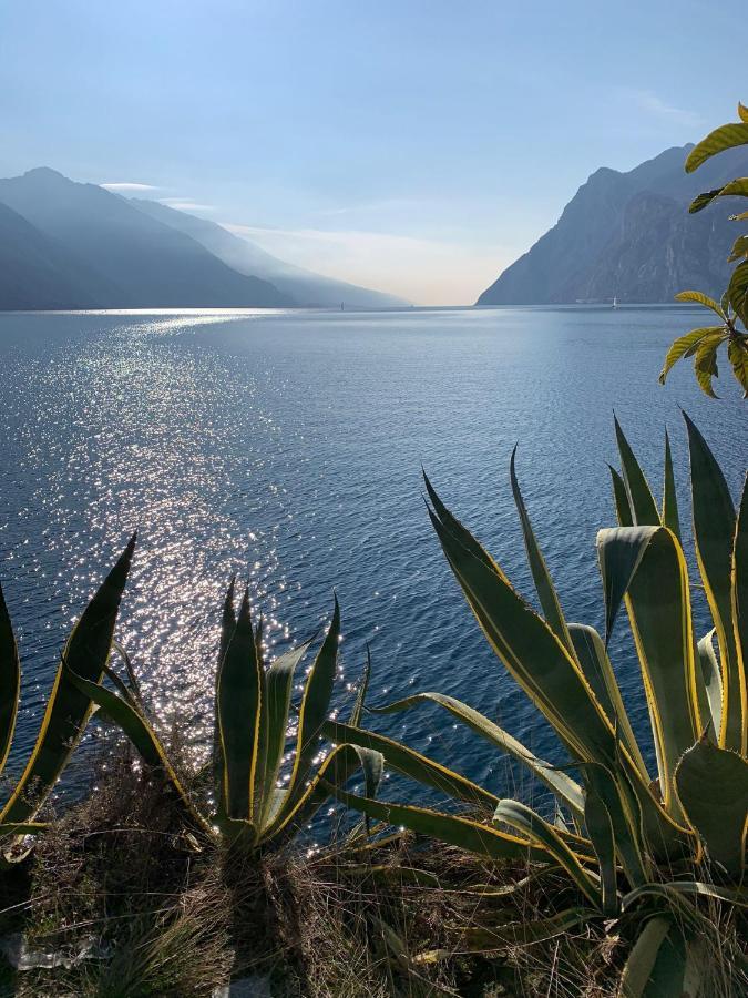 Le Peonie Apartment Riva del Garda Exterior photo